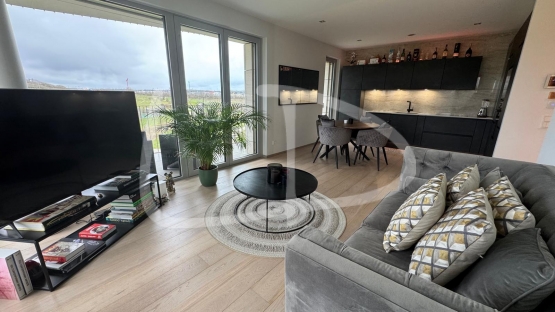 WhatsApp Image 2024-12-10 at 17.12.48 (12).jpeg